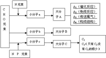 一年生草本植物x种群数量调查分析