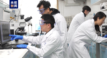 二维金属碲化物宏量制备实现突破，为未来材料应用铺平道路