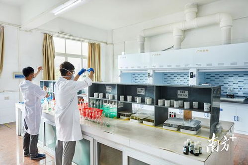 深耕“国字号”沃土，筑造粤北材料科学创新高地——英德的战略路径与实践探索