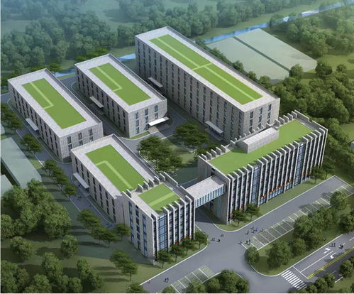 聚焦新一轮战略攻关 材料科学研究的最新进展与未来方向